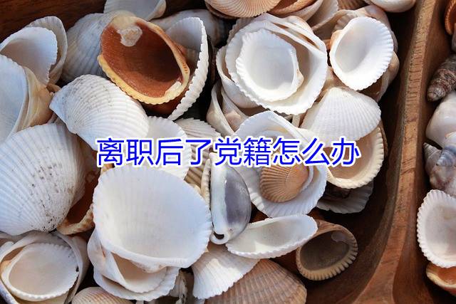 离职后了党籍怎么办