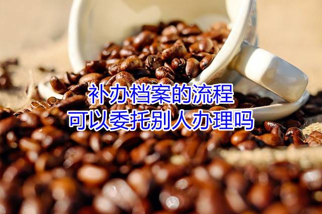 补办档案的流程可以委托别人办理吗