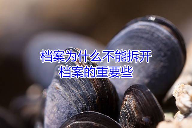 档案为什么不能拆开，档案的重要些