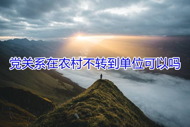 党关系在农村不转到单位可以吗