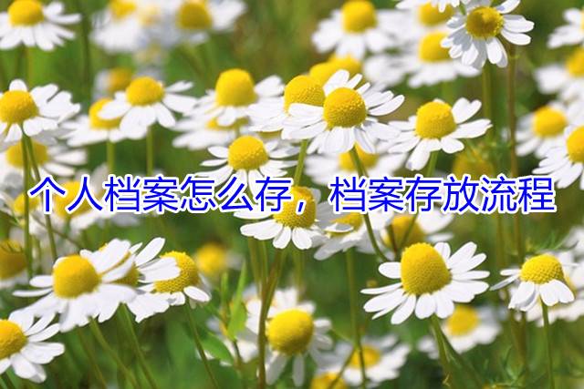个人档案怎么存，档案存放流程