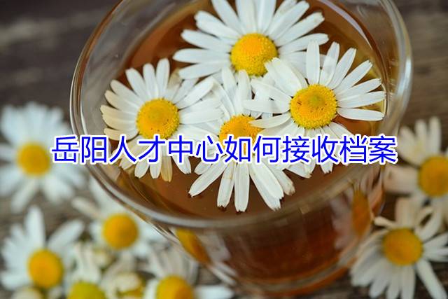 岳阳人才中心如何接收档案