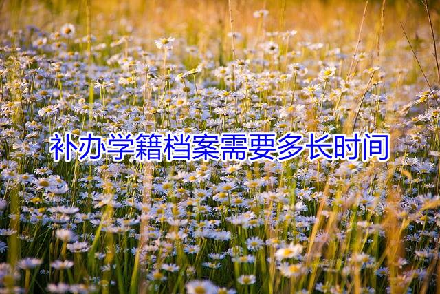 补办学籍档案需要多长时间