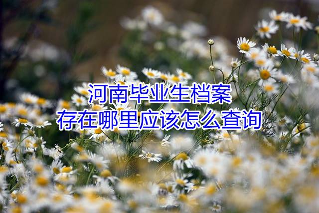 河南毕业生档案存在哪里应该怎么查询