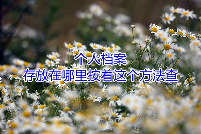 个人档案存放在哪里按着这个方法查