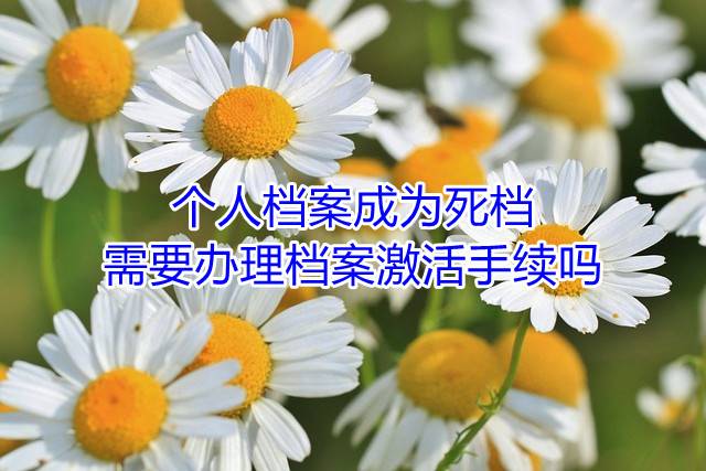 个人档案成为死档，需要办理档案激活手续吗