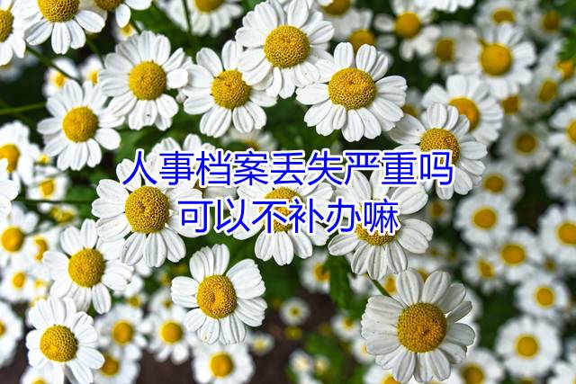 人事档案丢失严重吗，可以不补办嘛
