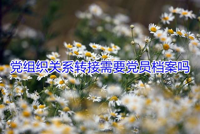 党组织关系转接需要党员档案吗