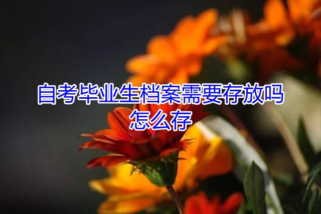 自考毕业生档案需要存放吗，怎么存