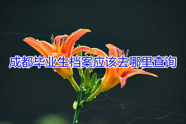 成都毕业生档案应该去哪里查询