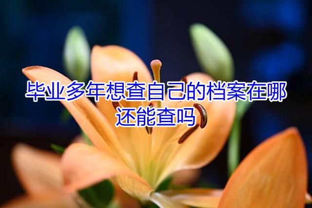 毕业多年想查自己的档案在哪，还能查吗