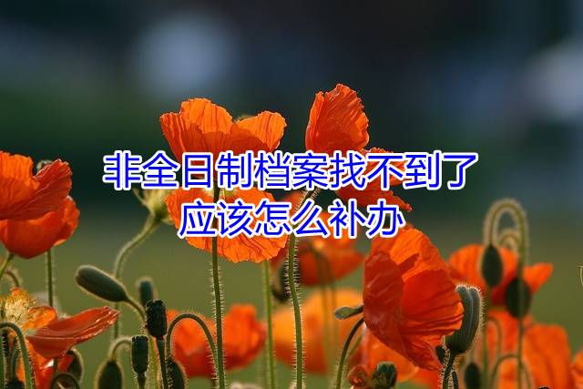 非全日制档案找不到了应该怎么补办