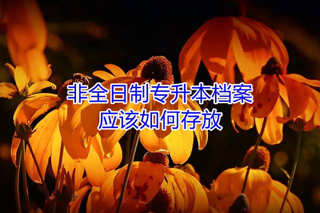 非全日制专升本档案应该如何存放