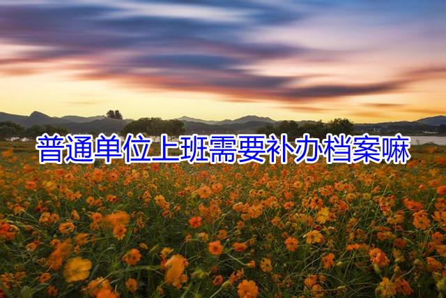 普通单位上班需要补办档案嘛