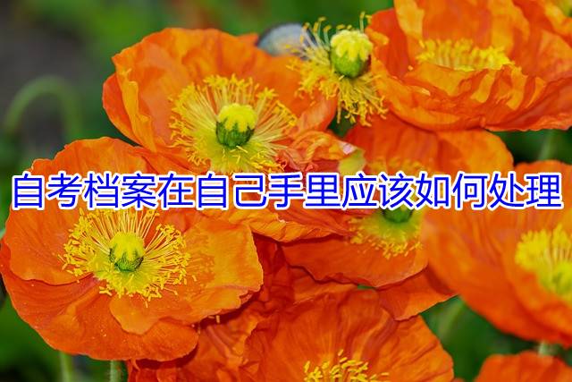 自考档案在自己手里应该如何处理