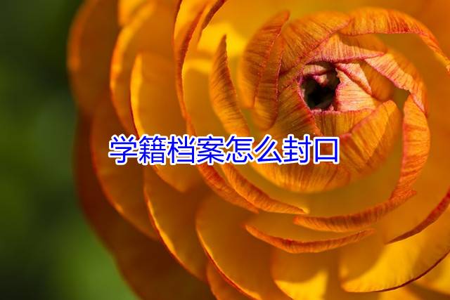 学籍档案怎么封口