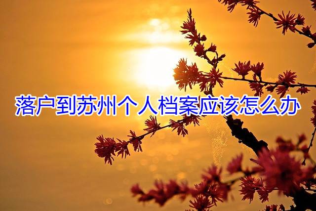 落户到苏州个人档案应该怎么办