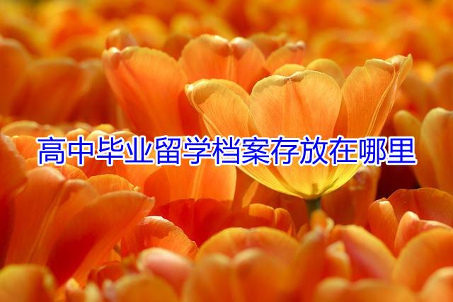 高中毕业留学档案存放在哪里
