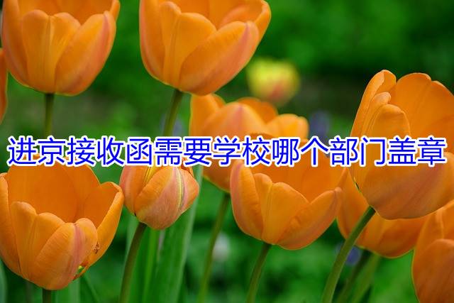 进京接收函需要学校哪个部门盖章