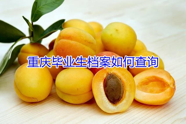 重庆毕业生档案如何查询