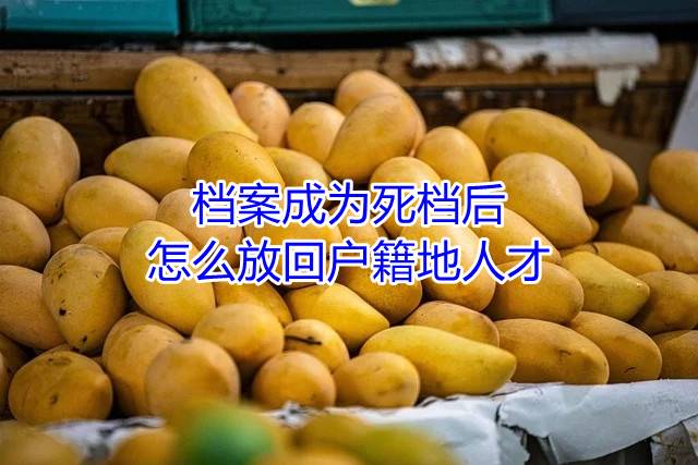 档案成为死档后怎么放回户籍地人才