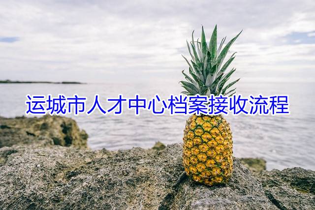 运城市人才中心档案接收流程