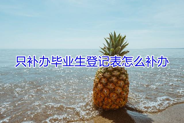 只补办毕业生登记表怎么补办