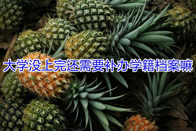 大学没上完还需要补办学籍档案嘛