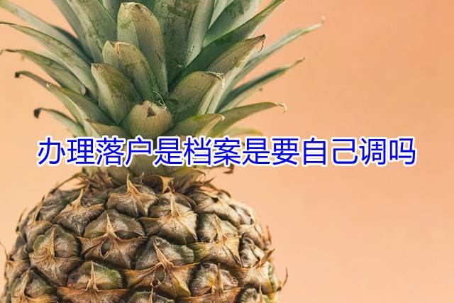 办理落户是档案是要自己调吗