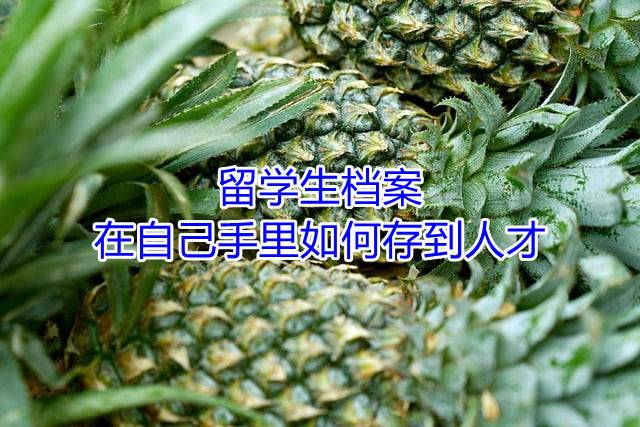 留学生档案在自己手里如何存到人才