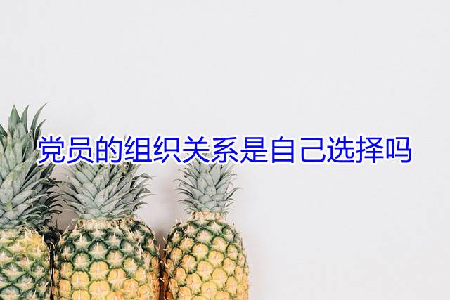 党员的组织关系是自己选择吗