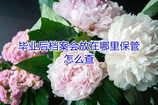 毕业后档案会放在哪里保管，怎么查