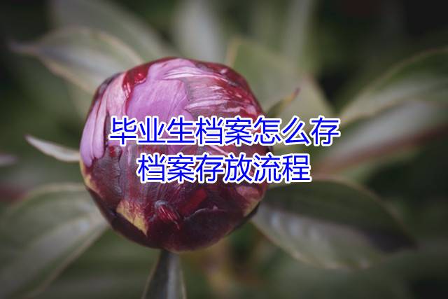 毕业生档案怎么存，档案存放流程