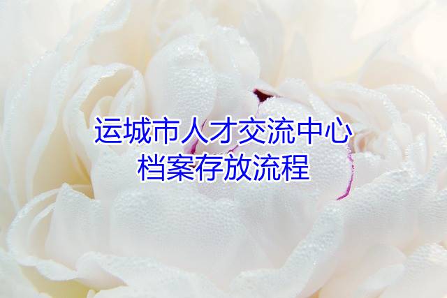 运城市人才交流中心档案存放流程