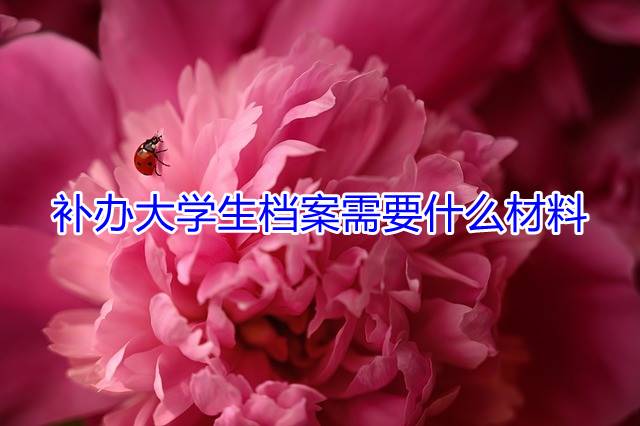 补办大学生档案需要什么材料
