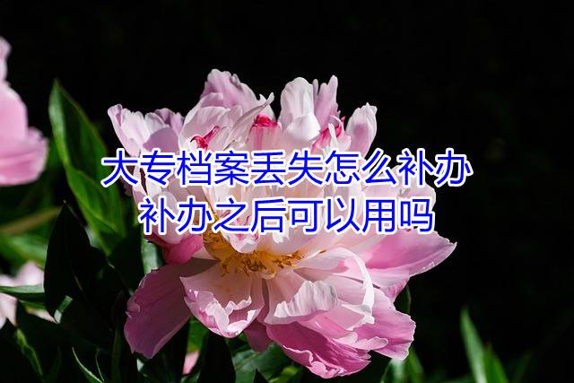大专档案丢失怎么补办，补办之后可以用吗