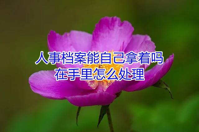 人事档案能自己拿着吗，在手里怎么处理