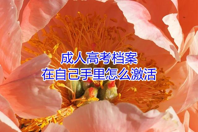 成人高考档案在自己手里怎么激活