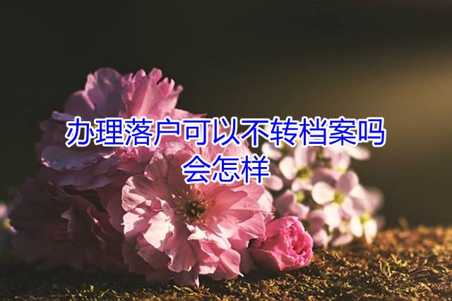 办理落户可以不转档案吗，会怎样