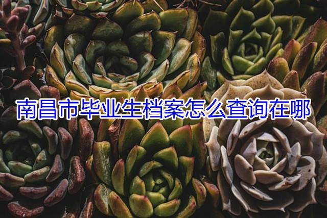 南昌市毕业生档案怎么查询在哪