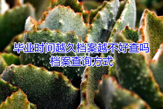 毕业时间越久档案越不好查吗，档案查询方式