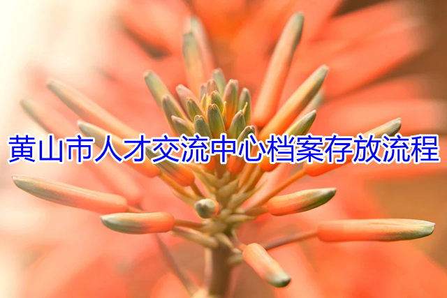 黄山市人才交流中心档案存放流程