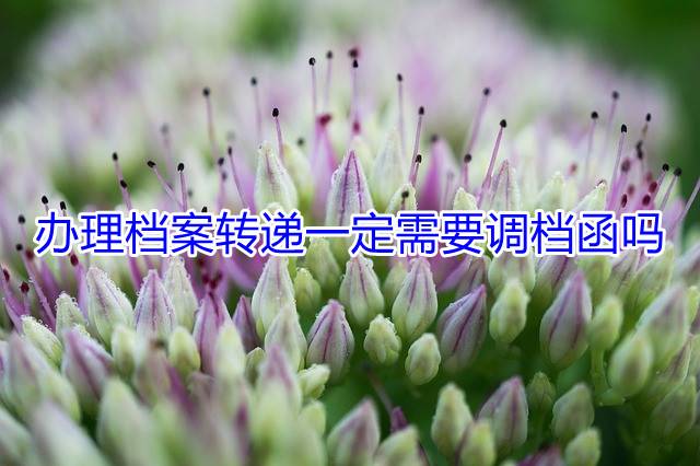 办理档案转递一定需要调档函吗
