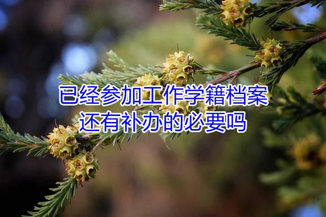 已经参加工作学籍档案还有补办的必要吗