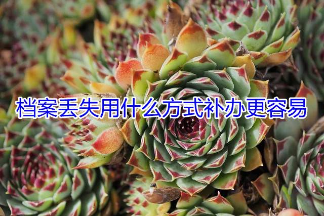 档案丢失用什么方式补办更容易