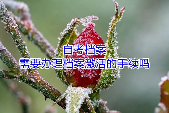 自考档案需要办理档案激活的手续吗