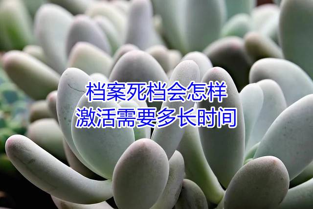 档案死档会怎样，激活需要多长时间