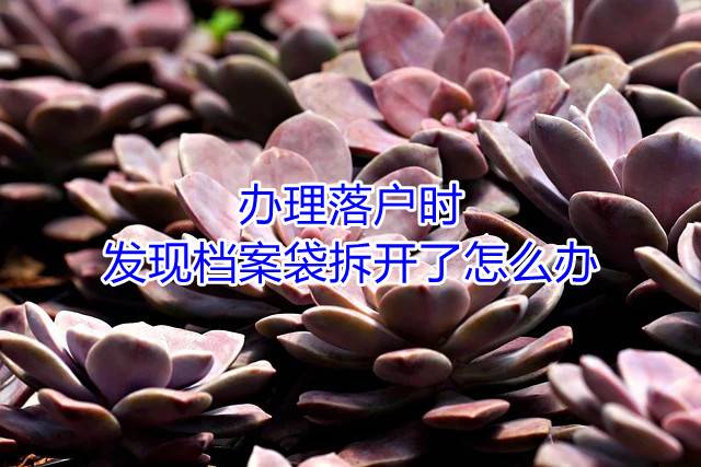 办理落户时发现档案袋拆开了怎么办