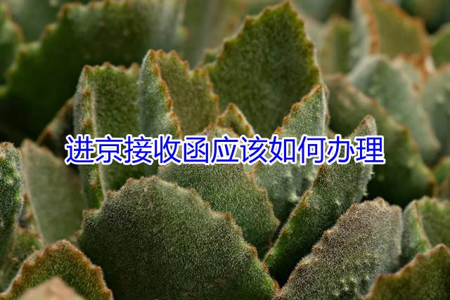 进京接收函应该如何办理