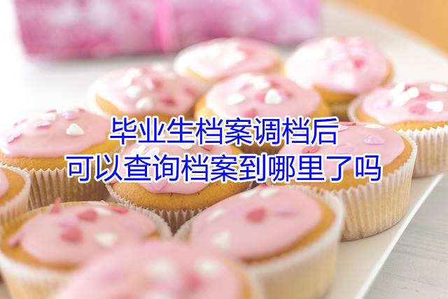 毕业生档案调档后可以查询档案到哪里了吗